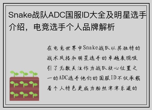 Snake战队ADC国服ID大全及明星选手介绍，电竞选手个人品牌解析